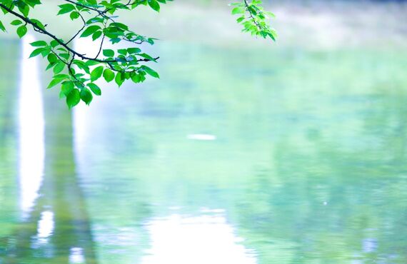 脳卒中後の手足の麻痺を改善に導きます｜脳と脊髄リハビリ研究センター福岡