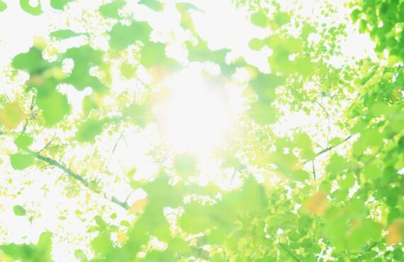 福岡で脳卒中リハビリ施設をお探しなら｜脳と脊髄リハビリ研究センター福岡